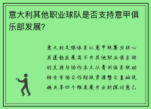 意大利其他职业球队是否支持意甲俱乐部发展？